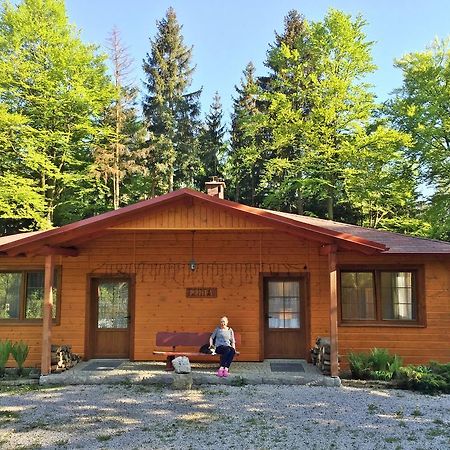 Vila Dom Lidia Sklářská Poruba Exteriér fotografie