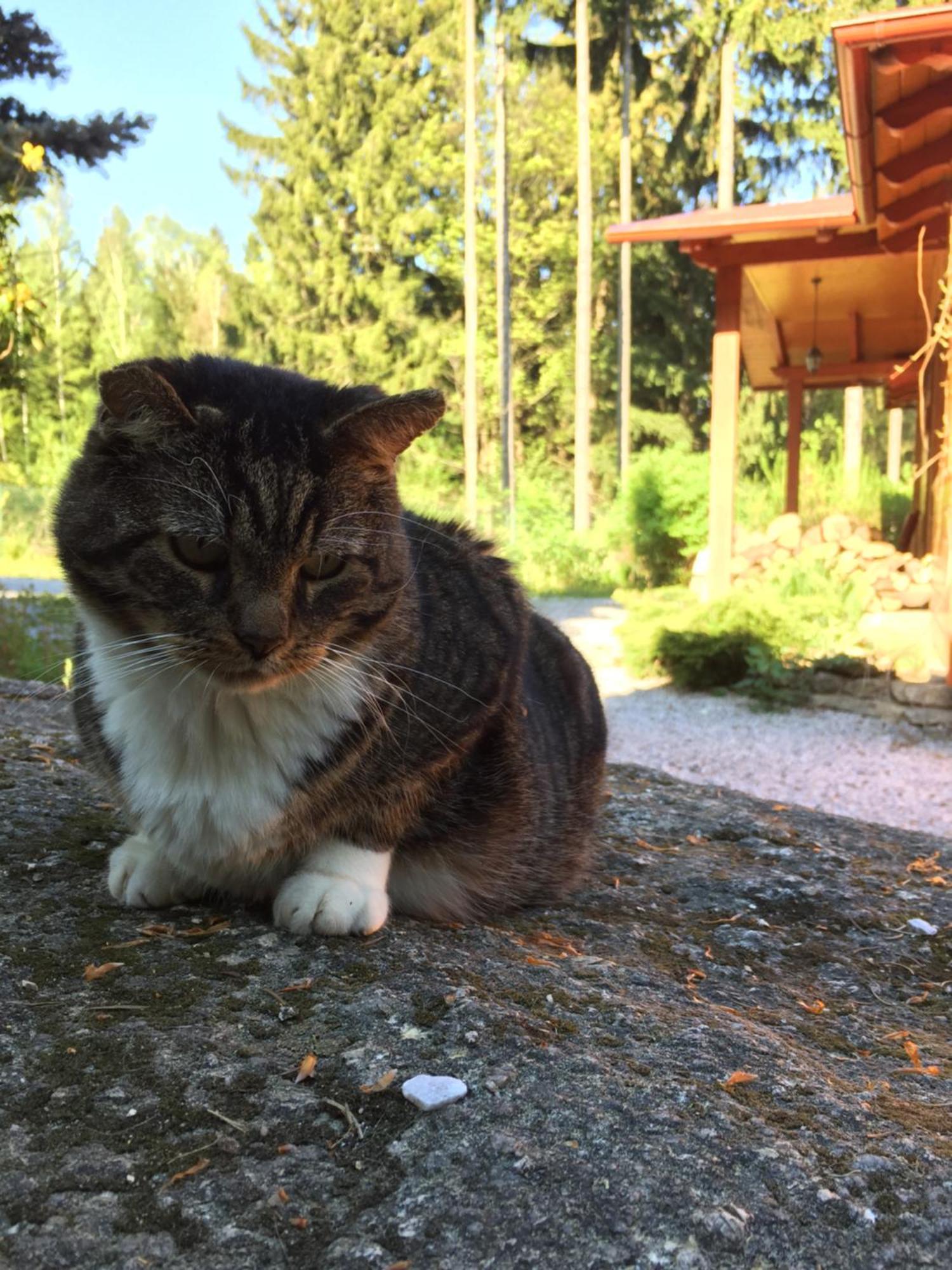 Vila Dom Lidia Sklářská Poruba Pokoj fotografie