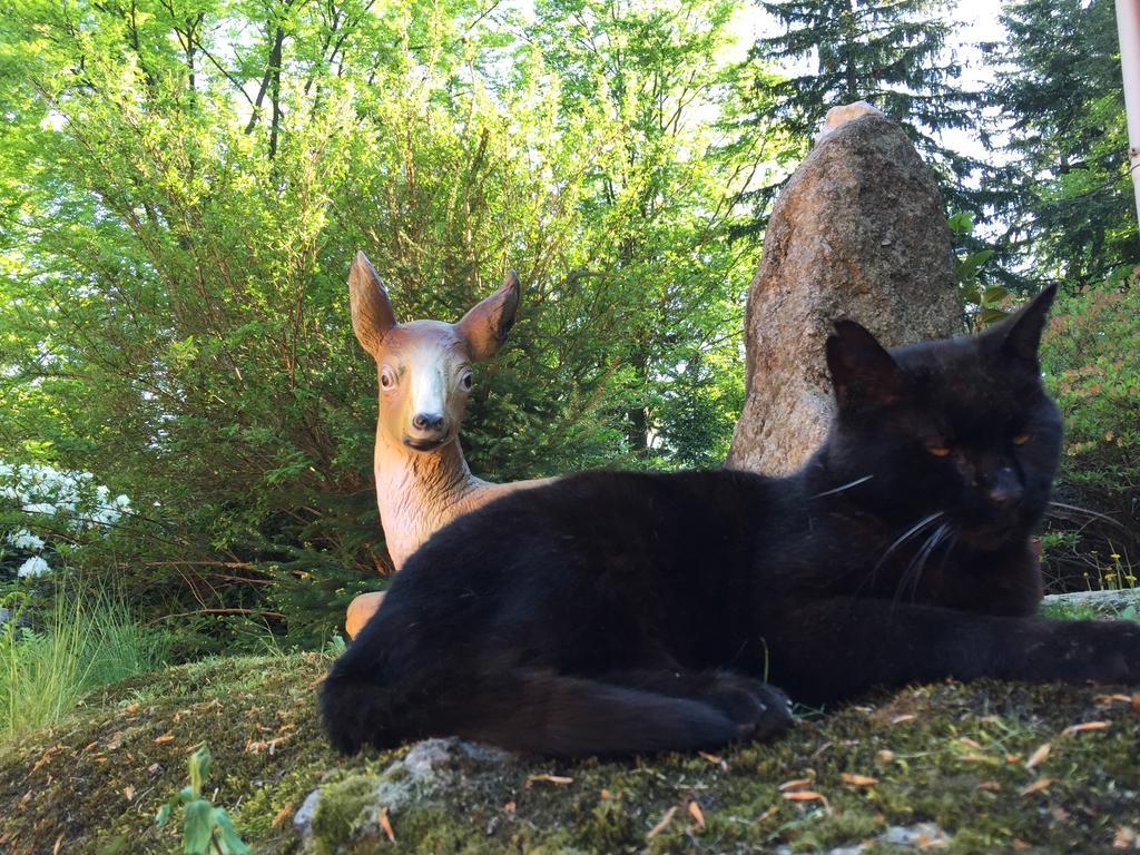 Vila Dom Lidia Sklářská Poruba Exteriér fotografie