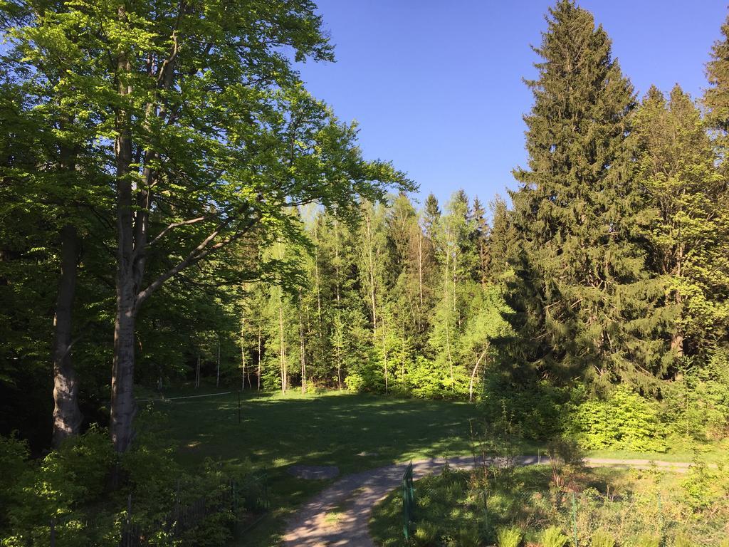 Vila Dom Lidia Sklářská Poruba Exteriér fotografie