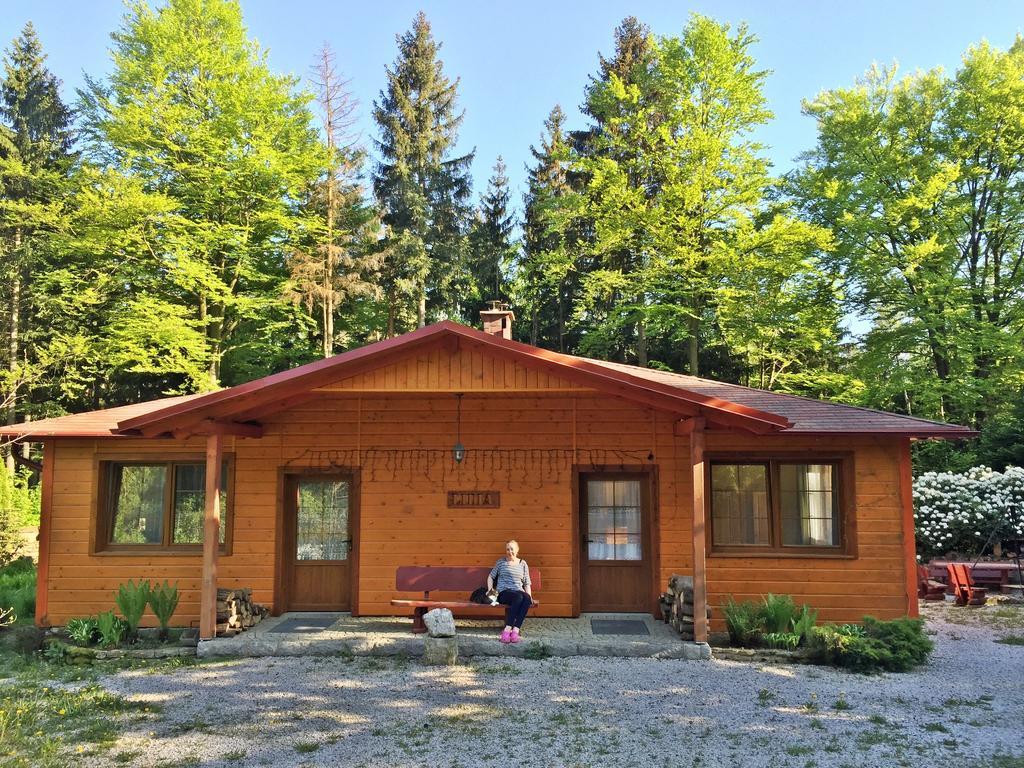 Vila Dom Lidia Sklářská Poruba Exteriér fotografie